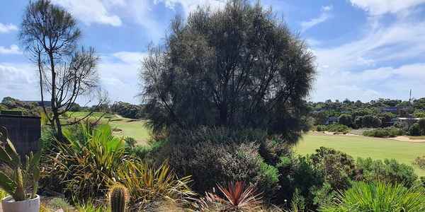 Essential Gardens